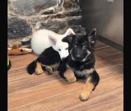 WhatsApp-Image-2026-04-07-at-19.46.51-14