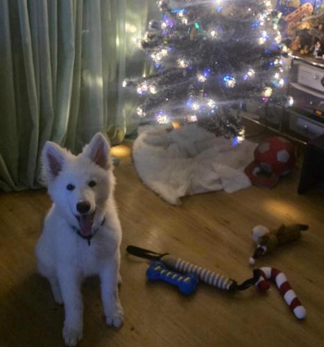 WhatsApp-Image-2026-04-07-at-19.46.51-15