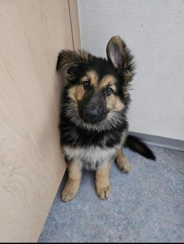 WhatsApp-Image-2026-04-07-at-19.46.51-17