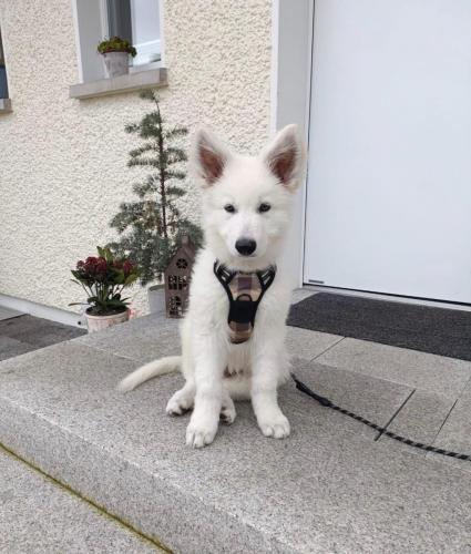 WhatsApp-Image-2026-04-07-at-19.46.51-18