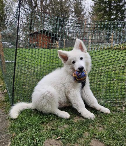 WhatsApp-Image-2026-04-07-at-19.46.51-19