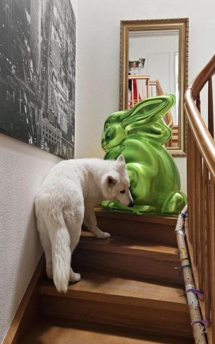 WhatsApp-Image-2026-04-07-at-19.46.51-2