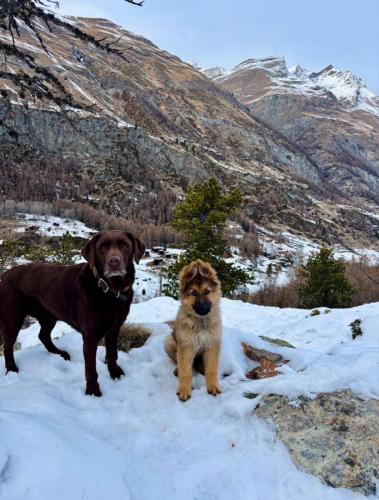 WhatsApp-Image-2026-04-07-at-19.46.51-20