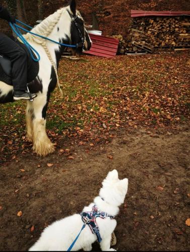 WhatsApp-Image-2026-04-07-at-19.46.51-21