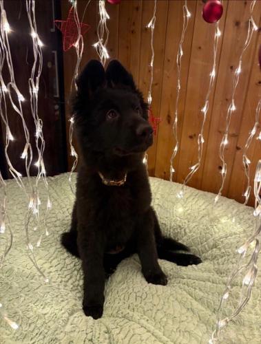 WhatsApp-Image-2026-04-07-at-19.46.51-22