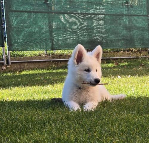 WhatsApp-Image-2026-04-07-at-19.46.51-23