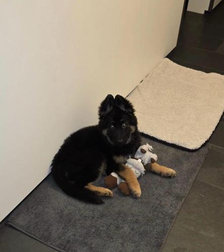 WhatsApp-Image-2026-04-07-at-19.46.51-24