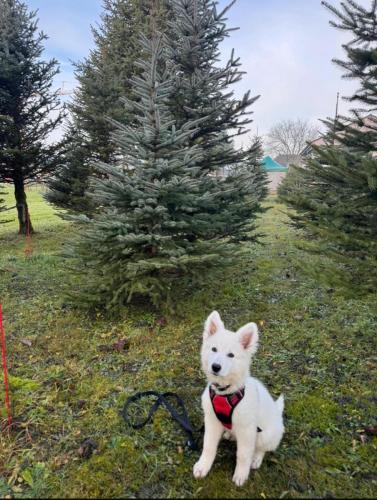 WhatsApp-Image-2026-04-07-at-19.46.51-25