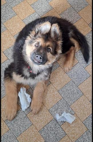 WhatsApp-Image-2026-04-07-at-19.46.51-26