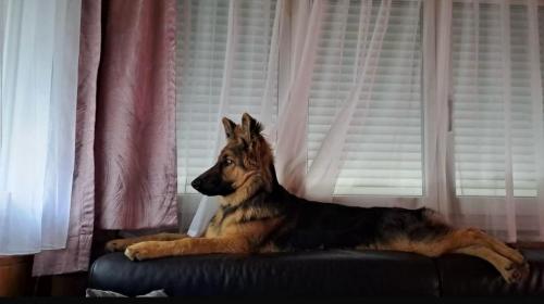 WhatsApp-Image-2026-04-07-at-19.46.51-3