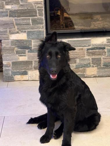 WhatsApp-Image-2026-04-07-at-19.46.51-4