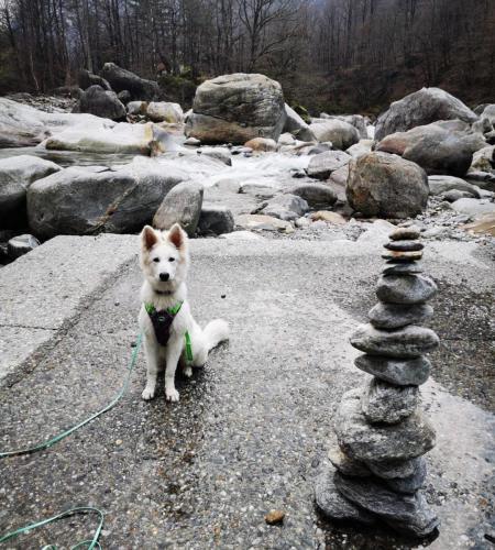 WhatsApp-Image-2026-04-07-at-19.46.51-5