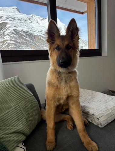 WhatsApp-Image-2026-04-07-at-19.46.51-6