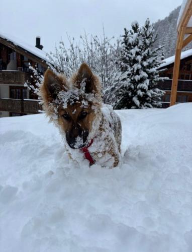 WhatsApp-Image-2026-04-07-at-19.46.51-7