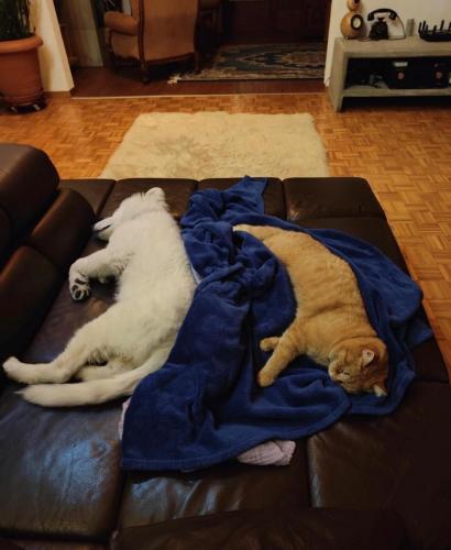 WhatsApp-Image-2026-04-07-at-19.46.51-8