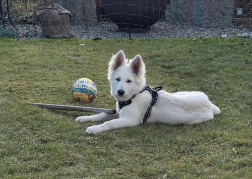 WhatsApp-Image-2026-04-07-at-19.46.51-9