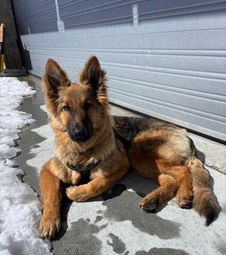 WhatsApp-Image-2026-04-07-at-19.46.51